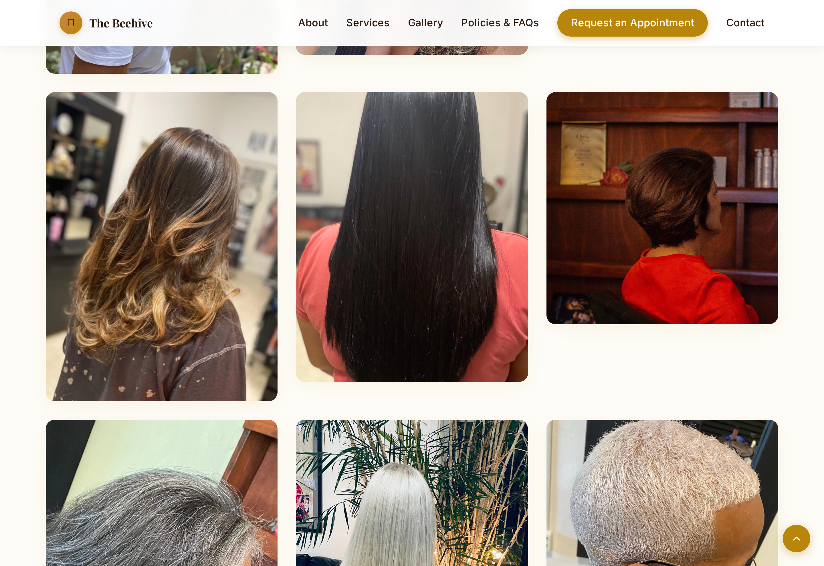 The Beehive Curaçao gallery grid of colour, blonding and precision cut results